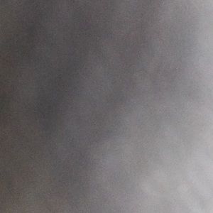 Meet your Posher, Madi